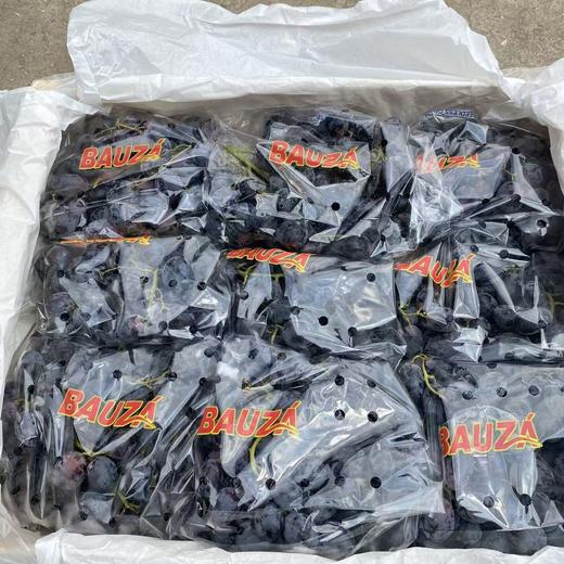 黑加仑提子  |水果 商品图1