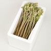 【东北新鲜蕨菜】新鲜蕨菜东北山野菜蘸酱菜 商品缩略图2