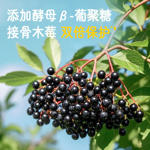 黑营养早餐奶 纯素谷物奶 植物蛋白饮料 不添加蔗糖 燕麦发酵 商品图4