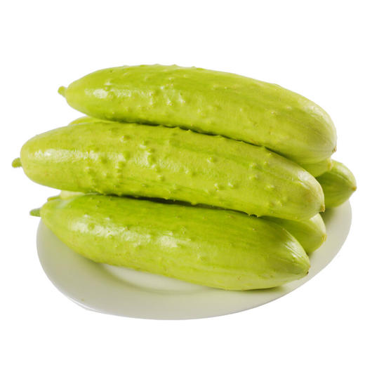 海阳白玉黄瓜4.5斤装【分仓直发，72小时发货，周末节假日不发货】 商品图0
