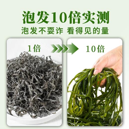 特级深海海带丝500g*1袋 免洗免挑 10倍高泡发率 口感鲜嫩清爽 商品图3