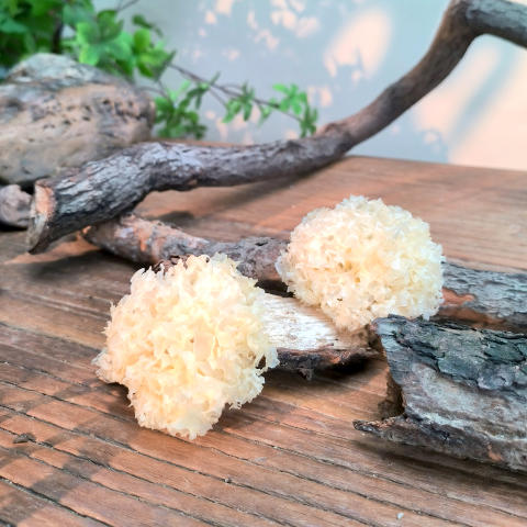 通江银耳80g 商品图0