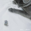 北京仓｜Coucou Suzette-Chat Gris-灰猫 发夹［法国设计师］ 商品缩略图4