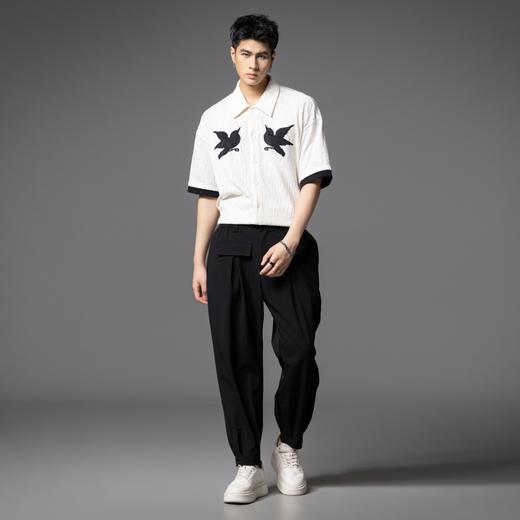 PINLI品立2025夏季新款双鸟贴布绣针织衬衫男士潮牌宽松短袖衬衣B252113063 商品图1