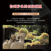 【西班牙原瓶进口】巴塞之花·起泡干白葡萄酒 8.5%vol 商品缩略图7