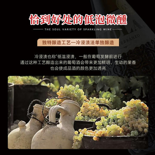 【西班牙原瓶进口】巴塞之花·起泡干白葡萄酒 8.5%vol 商品图7