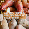 生态红皮土豆（福建，中通） | 合作生产*  Ecological red potato| Partner Production 商品缩略图1