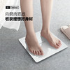 【快递包邮】西莱森体脂秤CP-BS1 商品缩略图1