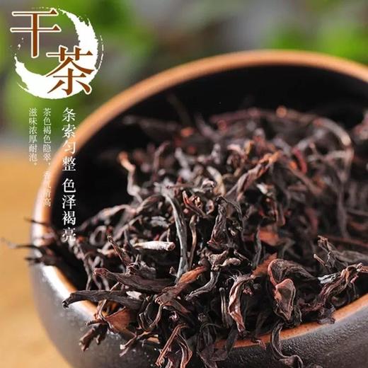 广东潮州杨栈记单枞（高春）125g/罐 商品图3