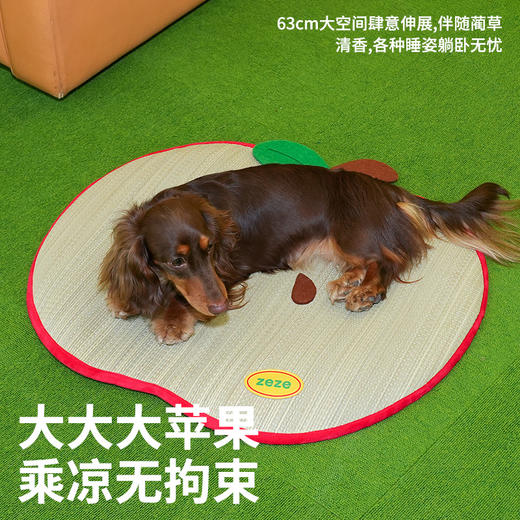 zeze红苹果蔺草宠物垫-B（包邮） 商品图3
