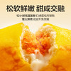 【限时一口价17.9元】蛋皮肉松卷420g 商品缩略图3