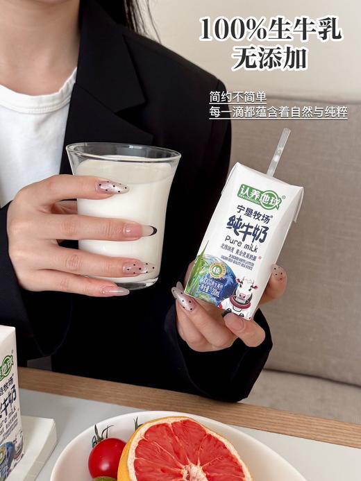 认养地球·宁垦牧场4.0蛋白纯牛奶200ml×10盒/箱 商品图4