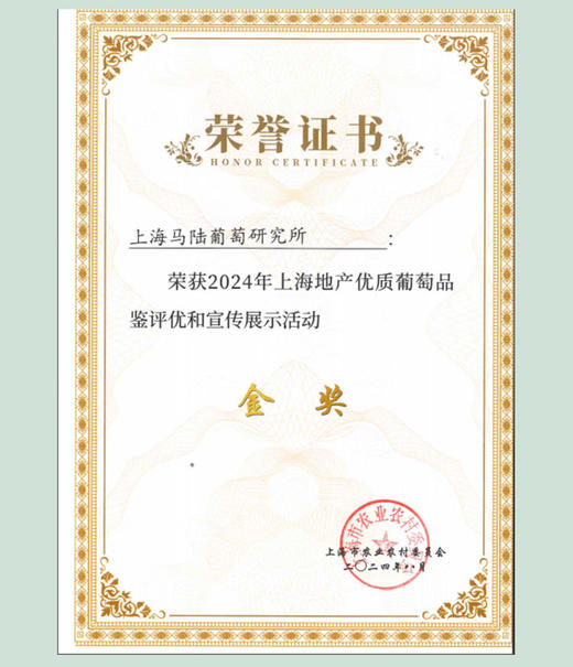 玫瑰皇后5斤装 —传伦葡萄精品 商品图5