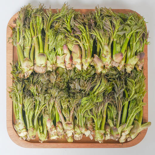 【东北新鲜刺嫩芽】东北新鲜刺嫩芽野生刺嫩芽刺龙芽刺老芽山野菜刺老包 商品图6