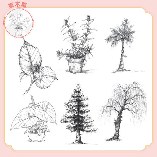 儿童插画线稿素材集 花卉植物卷 儿童插画临摹素材图册画册画集 儿童创意插画教程 商品图3