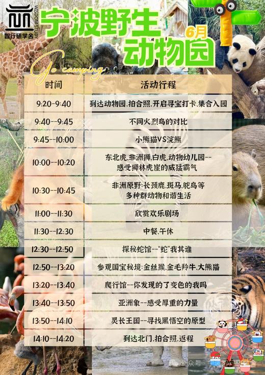 【智行研学】端午节“粽享趣学记”、“端午野趣”、“有你真蚌”、“宁波野生动物园”，双节假期双倍快乐！ 商品图3