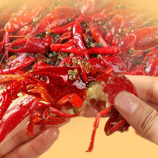 海底捞快手小厨麻辣小龙虾调味料 200g 商品图4
