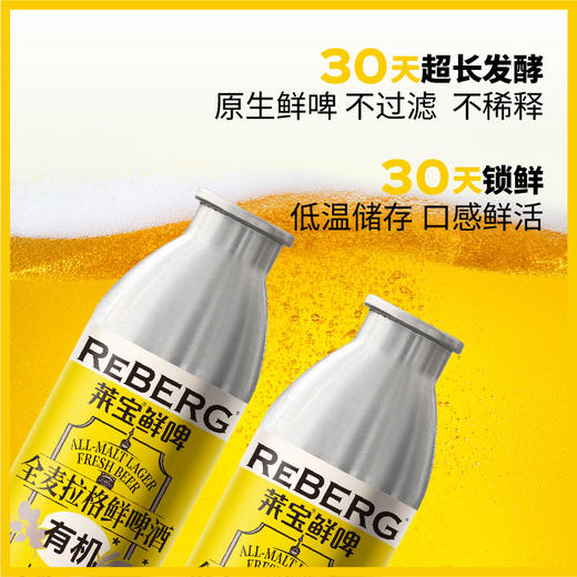 Reberg莱宝精酿有机全麦拉格鲜啤酒460ml国产生啤当日现灌 商品图2