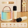 亰维渡K25双麦克风K歌音箱 商品缩略图3