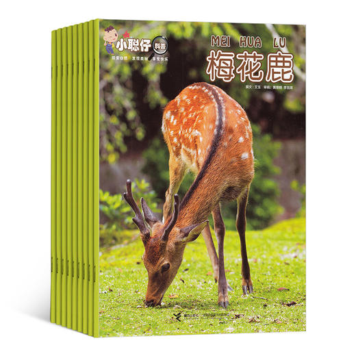 【杂志】《小聪仔》自然科普杂志2026年刊订阅（科普版、幼儿版） 商品图1