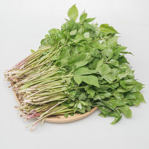 【东北新鲜大叶芹】1斤东北辽宁山野菜山芹菜 商品图4