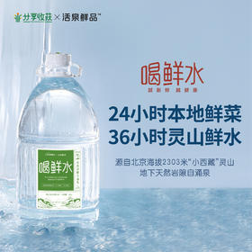 喝鲜水 | 北京灵山 天然自涌泉水  天然弱碱性  36小时京东配送到家 | 基地直发 周六生产发货 周日到配送到家