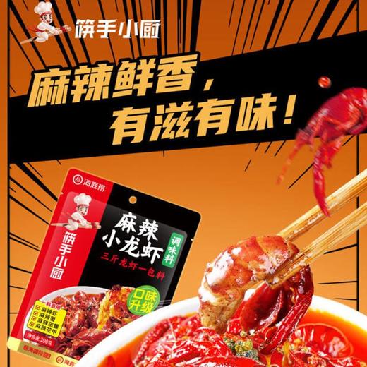 海底捞快手小厨麻辣小龙虾调味料 200g 商品图1