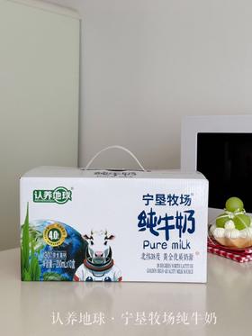 认养地球·宁垦牧场4.0蛋白纯牛奶200ml×10盒/箱