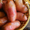 生态红皮土豆（福建，中通） | 合作生产*  Ecological red potato| Partner Production 商品缩略图0