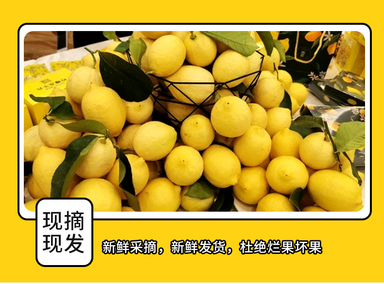 安岳柠檬_07.jpg