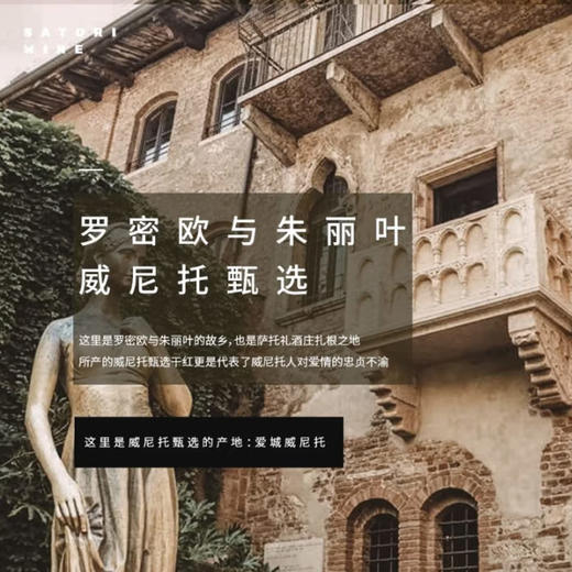 【米其林餐厅合作酒庄】意大利原瓶进口红酒干红葡萄酒  威尼托臻选干红葡萄酒 商品图4