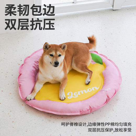 zeze柠檬宠物冰床组合链接-B（包邮） 商品图2