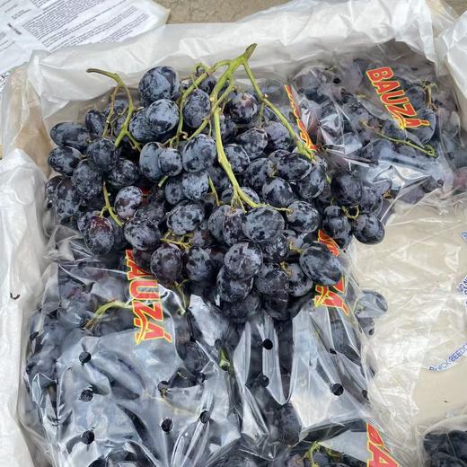 黑加仑提子  |水果 商品图0