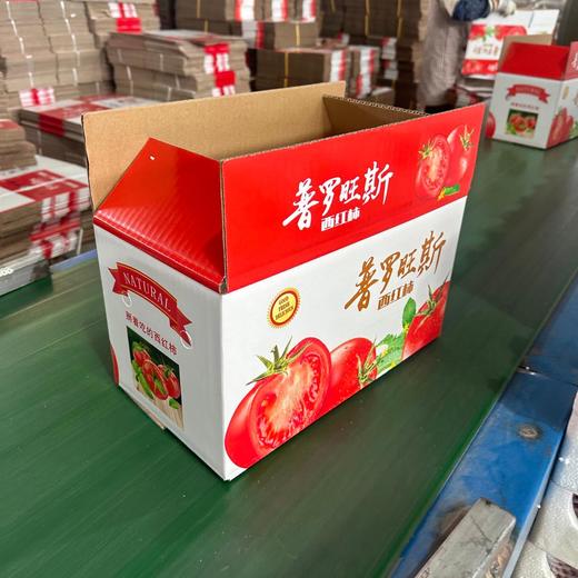普罗旺斯水果番茄西红柿 4-4.5斤大果 商品图2