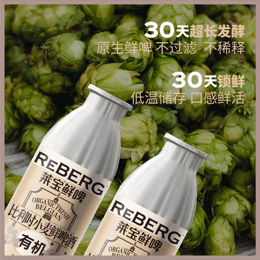 Reberg莱宝精酿啤酒有机鲜啤原野白啤460ml国产当日现灌 商品图2