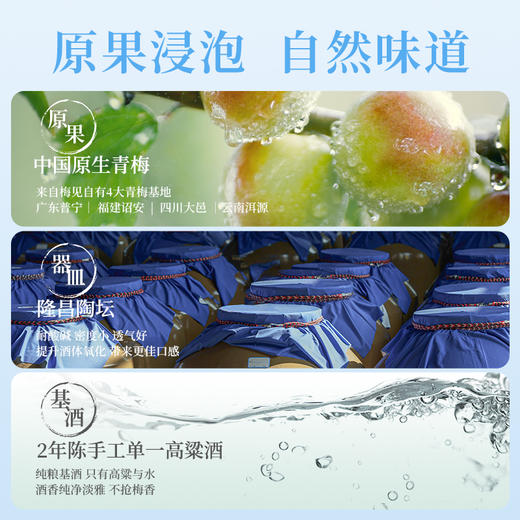 超酸梅见青梅酒果酒12度330ml*6女士低度酒原味甜酒微醺梅子酒晚安酒 商品图3