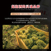 【西班牙原瓶进口】巴塞之花·起泡干白葡萄酒 8.5%vol 商品缩略图6