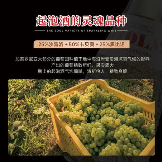 【西班牙原瓶进口】巴塞之花·起泡干白葡萄酒 8.5%vol 商品图6