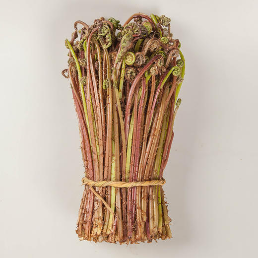 【东北新鲜猴腿菜】新鲜猴腿菜1斤东北山野菜紫蕨菜蘸酱菜 商品图1