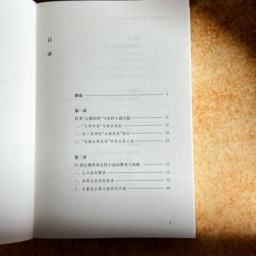 飞翔的姿势 1990年代墨西哥女性小说批评 陈硕 女性叙事 商品图6