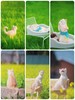 糗糗庄园猫猫电子照片 商品缩略图4
