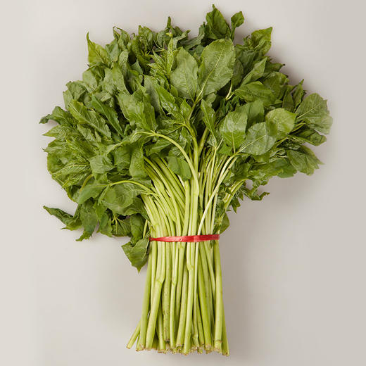 【东北新鲜刺五加】菜1斤东北山野菜刺果棒刺拐棒蘸酱菜 商品图2