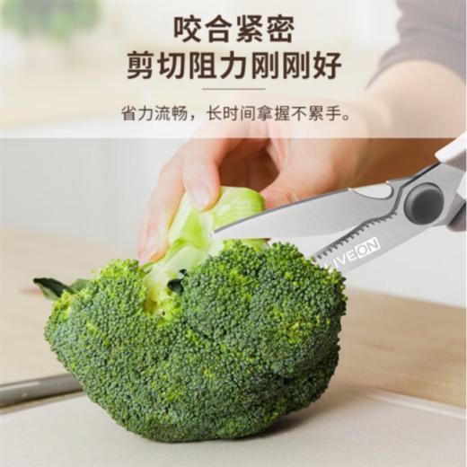 【快递包邮】力王银尚多功能厨房剪刀 商品图4