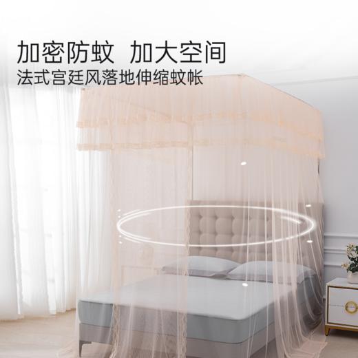 2025年春夏新品雅芳婷落地伸缩蚊帐家用卧室法式宫廷蕾丝花边蚊帐 商品图0