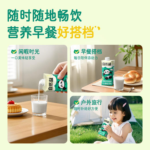 黑营养早餐奶 纯素谷物奶 植物蛋白饮料 不添加蔗糖 燕麦发酵 商品图1