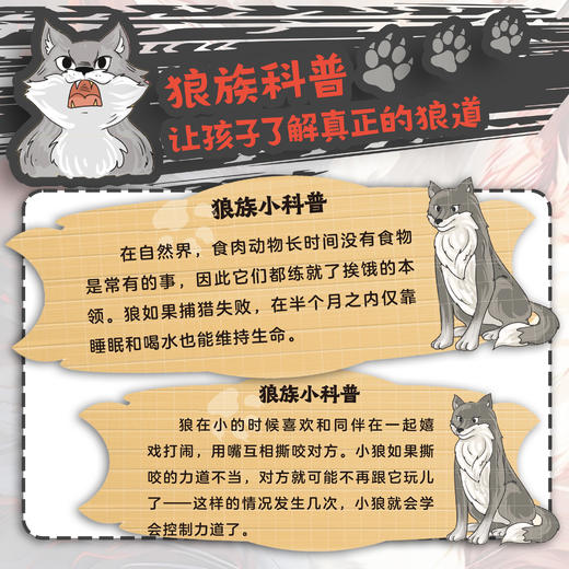 狼之道 商品图3