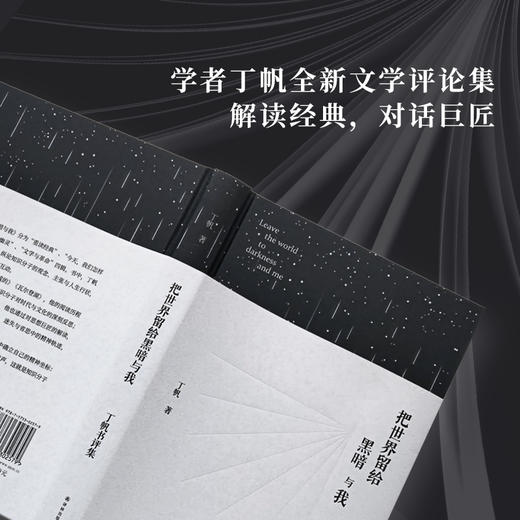 把世界留给黑暗与我：丁帆书评集（学者丁帆全新文学评论集。解读经典，对话巨匠，重申知识分子的志业与担当） 商品图1