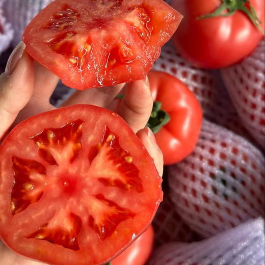 普罗旺斯水果番茄西红柿 4-4.5斤大果 商品图1