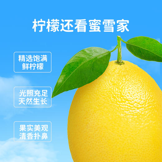 蜜雪冰城雪王柠檬液 盒装 精选原料 清爽好喝 便携冲泡 商品图3