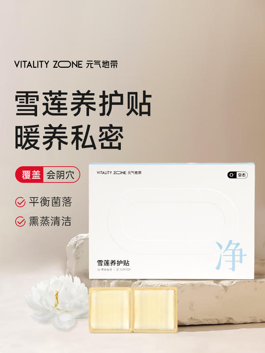 【女神套餐】女神必备艾灸贴排湿雪莲贴私密呵护 商品图2